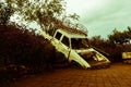 Old car in the flower field