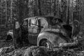 Old car from the forties left to rust in a forest in Sweden Royalty Free Stock Photo