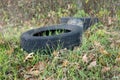 Old car tires in nature