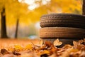 old car tires, wheels in autumn forest with bright yellow leaves