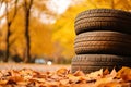 old car tires, wheels in autumn forest with bright yellow leaves Royalty Free Stock Photo