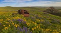Old Car among Wild Flowers