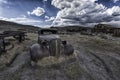 Old car wreck in Bodie ghost town in California Royalty Free Stock Photo