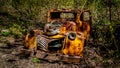 An Old Car Wreck hidden in the forest surrounding Alta Lake near Whistler Royalty Free Stock Photo