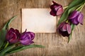 The old card and fresh tulips Royalty Free Stock Photo