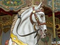 Old carousel horse