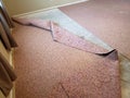 Old carpet replace in a nice house inside Royalty Free Stock Photo