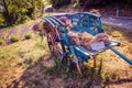 Old carriage and lavender flowers in Provence.