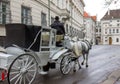 Old carriage touristic attraction in Vienna, Austria Royalty Free Stock Photo