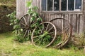 Old Carriage Wheels Royalty Free Stock Photo
