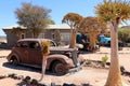 Old Cars and Aloe - Namibia africa Royalty Free Stock Photo