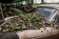 old cars in a hall Royalty Free Stock Photo