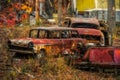 Old Cars on Hillside