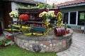 The old cart with flowers, Serbia Royalty Free Stock Photo