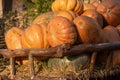 An old cart with a harvest of pumpkins