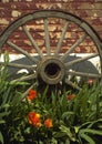 Old Cart Wheel