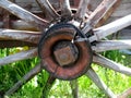 Old cart wooden spoke wheel on green grass in a summer day Royalty Free Stock Photo