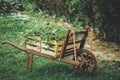 Old carts and red flowers Royalty Free Stock Photo