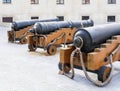 Old cast-iron artillery guns stand in a row, rear view perspective Royalty Free Stock Photo