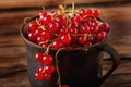 Old cast iron black cup full fresh ripe red currant Royalty Free Stock Photo