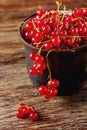 Old cast iron black cup full fresh ripe red currant Royalty Free Stock Photo