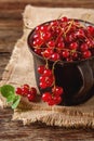 Old cast iron black cup full fresh ripe red currant Royalty Free Stock Photo