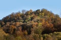 Old castle in autumn forest