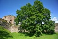 Old Castle (castle on the hill). Izborsk fortress, Pskov region, Russia, Europe.