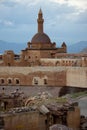 Old castle - Ishak Pasha Palace