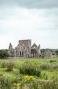 Old castle ruins in the grasland of Ireland Royalty Free Stock Photo