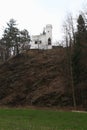 Old Castle in VlaÃÂ¡im Castle Park