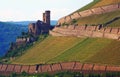 Old Castle On Vineyard