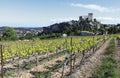 Old castle and vineyard