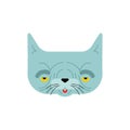 Old cat isolated. Grandpa cat. Vector illustration