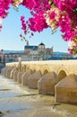 Old cathedral and roman bridge, Cordoba Royalty Free Stock Photo