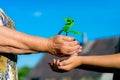 Old caucasian grandma Giving Young Plant To A Child - New Life To New Generation Royalty Free Stock Photo