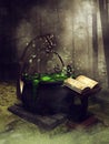 Old cauldron and a book