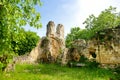 Old caves dug into the tuff rock and used for human habitation in ancient times. Citta del Tufo. Sorano, Sovana, Tuscany, Italy