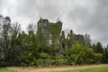 Old celtic castle in a bush