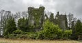 Old celtic castle in a green bush