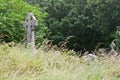 Old celtic cross, Glendalough cemetery, Ireland