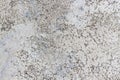 Old cement decayed wall or concrete decayed floor. Royalty Free Stock Photo