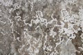 Old cement wall texture Royalty Free Stock Photo