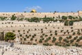 Old cemetery and ancient walls in Jerusalem, Israel. Royalty Free Stock Photo