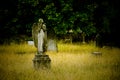 Old cemetery angel Royalty Free Stock Photo