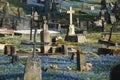 Old cemetery with grave stones and crosses in spring flowers Royalty Free Stock Photo