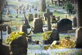 Old cemetery with grave stones and crosses in spring Royalty Free Stock Photo