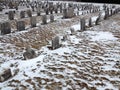 Old cemetery gravestones with snow