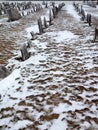 Old cemetery gravestones with snow