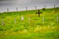 Old cemetery graveyard on Andoya, Norway Royalty Free Stock Photo